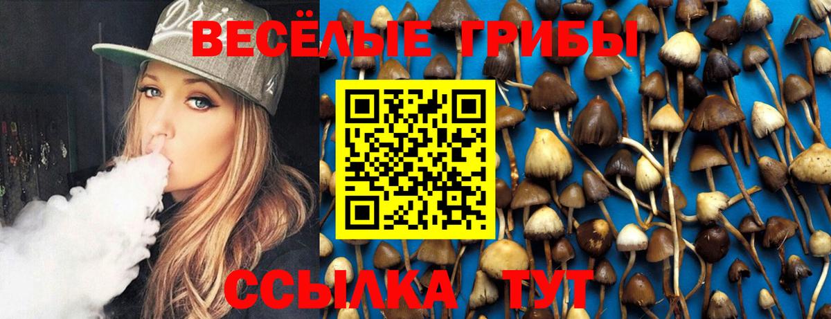 Галлюциногенные грибы мухоморы Шарыпово