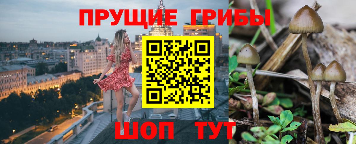 Галлюциногенные грибы Magic Shrooms  Вход с VPN  Шарыпово 